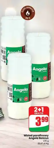 Dino Wkład olejowy 170 h Angela oferta