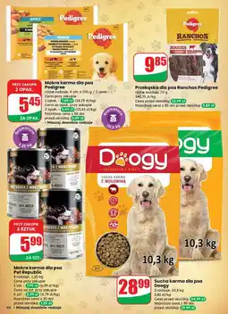 Dino Karma dla psa junior kurczak w galarecie Pedigree oferta