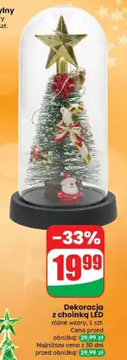 Dino Choinka led oferta