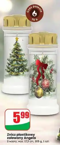 Dino Znicz plastikowy angela 30h Bolsius oferta