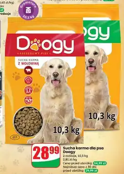 Dino Karma dla psa z wołowiną Doogy oferta