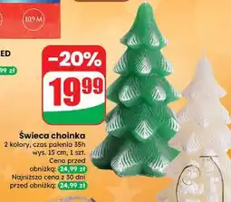 Dino Świeca choinka oferta