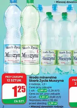 Dino Woda gazowana Muszyna Skarb Życia oferta