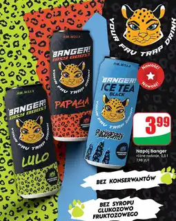 Dino Napój black blackberry Banger Ice Tea oferta