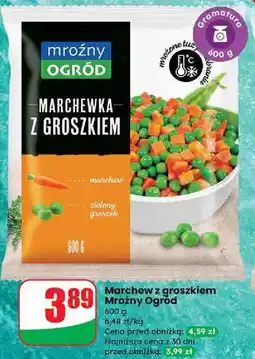 Dino Marchewka z groszkiem Mroźny Ogród oferta