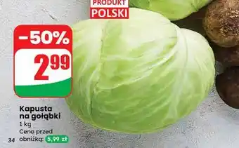 Dino Kapusta na gołąbki oferta
