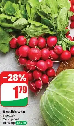 Dino Rzodkiewka oferta