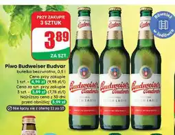 Dino Piwo Budweiser oferta
