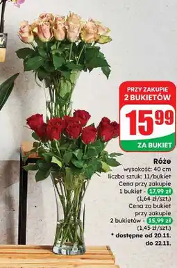 Dino Róże 40 cm oferta