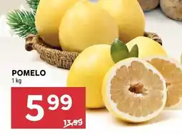 Stokrotka Pomelo Stokrotka oferta