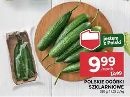 Stokrotka Polskie ogórki szklarniowe Stokrotka oferta