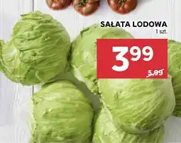 Stokrotka Sałata lodowa Stokrotka oferta