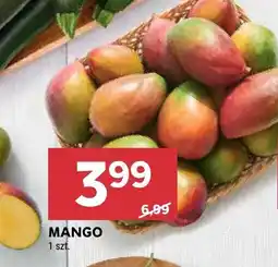 Stokrotka Mango Stokrotka oferta