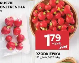 Stokrotka Rzodkiewka Stokrotka oferta