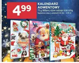 Stokrotka Kalendarz adwentowy Miliano 75g oferta