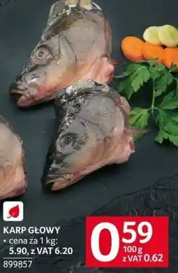 Selgros Karp głowy Selgros oferta