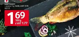 Selgros Karp świeży Selgros oferta