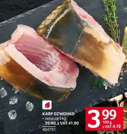 Selgros Karp dzwonko Selgros oferta