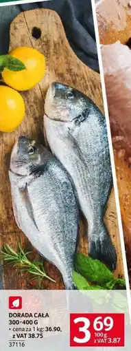 Selgros Dorada mrożona 300-400 g Selgros oferta