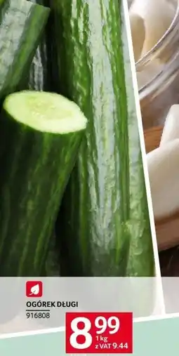 Selgros Ogórek długi Selgros oferta