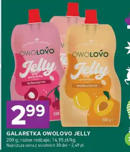 Stokrotka Galaretka Owolovo Jelly wiśniowa, morelowa oferta