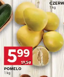 Stokrotka Pomelo Stokrotka oferta