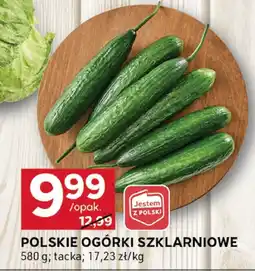 Stokrotka Ogórki polskie szklarniowe Stokrotka oferta