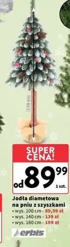 Intermarche Choinka na pniu jodła diamentowa 180 cm Erbis oferta