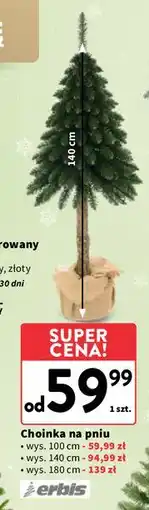 Intermarche Choinka na pniu 180 cm Erbis oferta