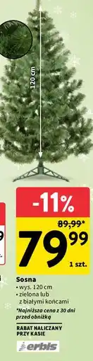 Intermarche Choinka sosna 120 cm Erbis oferta