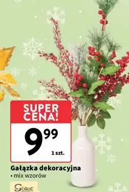 Intermarche Gałązka dekoracyjna Goliat oferta