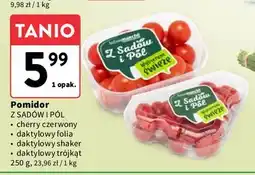 Intermarche Pomidory daktylowe folia Z Sadów I Pól oferta