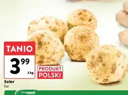 Intermarche Seler korzeń polska oferta