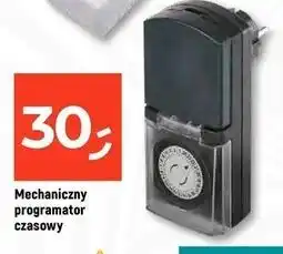 Dealz Programator czasowy oferta