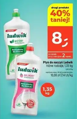 Dealz Płyn do mycia naczyń miętowy Ludwik oferta