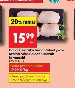 Biedronka Udo z kurczaka farmerskiego Kraina Mięs Select oferta