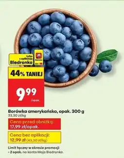 Biedronka Borówki amerykańskie oferta