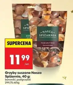 Biedronka Podgrzybki suszone Nasza Spiżarnia oferta