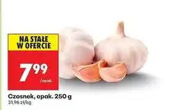 Biedronka Czosnek oferta