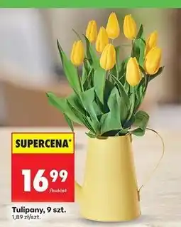 Biedronka Tulipany oferta