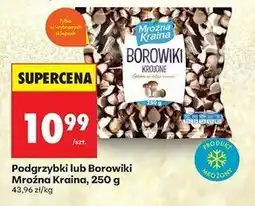 Biedronka Borowiki krojone Mroźna Kraina oferta