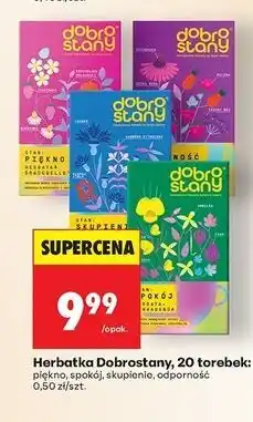 Biedronka Herbatka odporność Dobrostany oferta