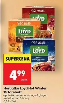 Biedronka Herbata hot winter sweet lemon & honey Loyd Tea The Magic Experience oferta