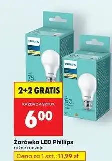 Biedronka Żarówka led 60w e27 globe Philips oferta