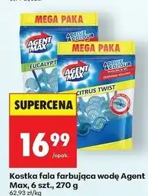 Biedronka Zawieszka do wc eucalyptus Agent Max Active & Colour oferta