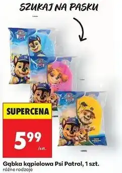 Biedronka Gąbka kąpielowa psi patrol oferta