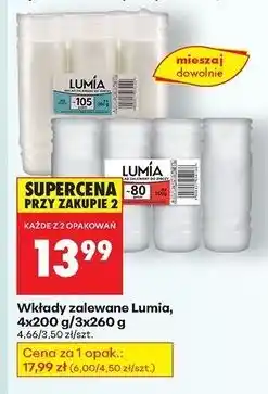 Biedronka Wkład zalewany 105 Lumia oferta