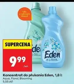 Biedronka Koncentrat do płukania blooming Eden oferta