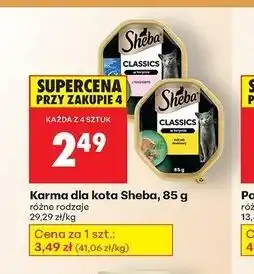 Biedronka Karma dla kota pate z koktajlem drobiowym Sheba Classics oferta
