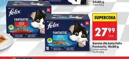 Biedronka Karma dla kota rybne smaki Purina Felix Fantastic oferta